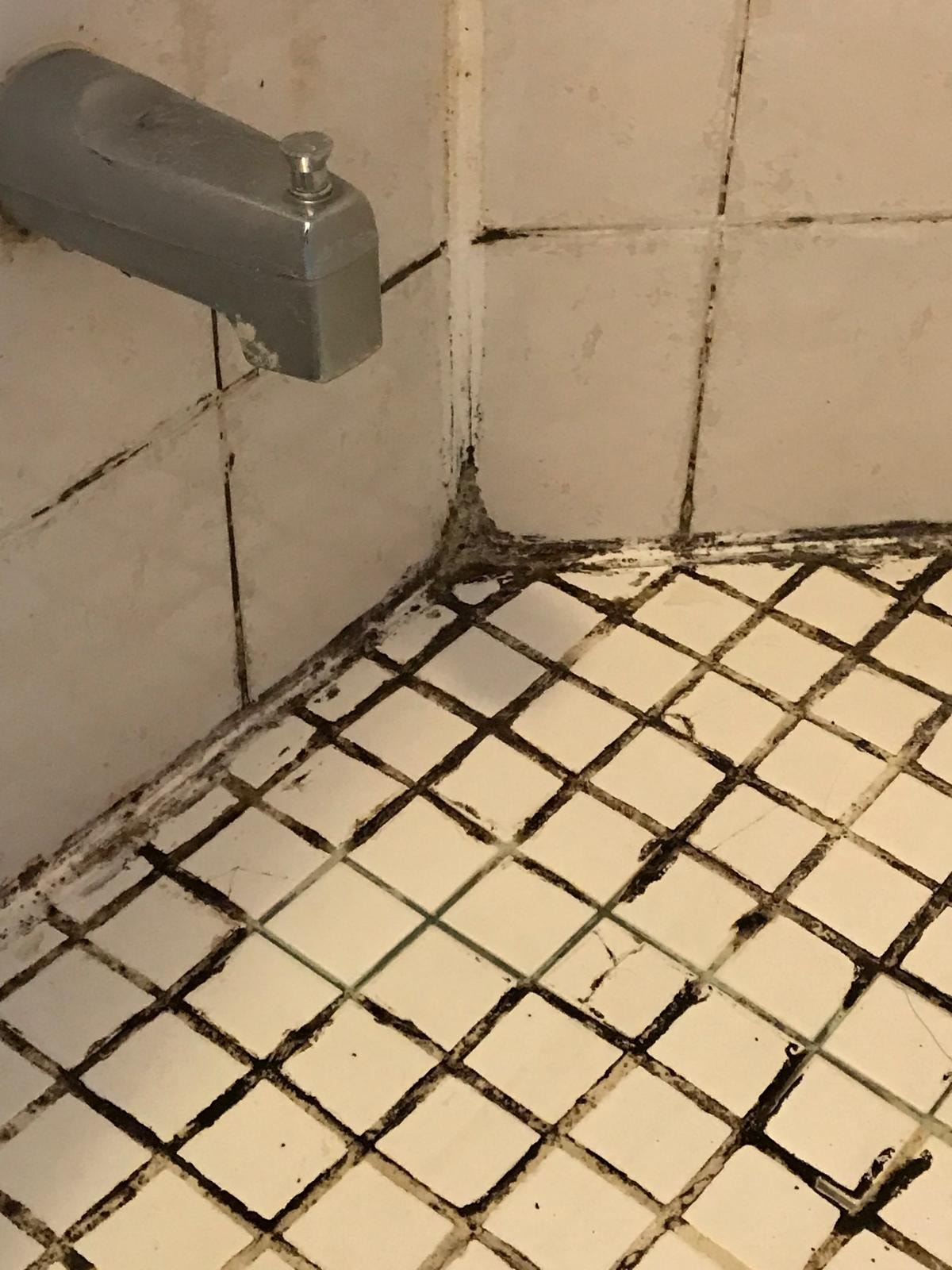 Faucet-side corner before restoration — black mold at wall and floor joint — TilesRus