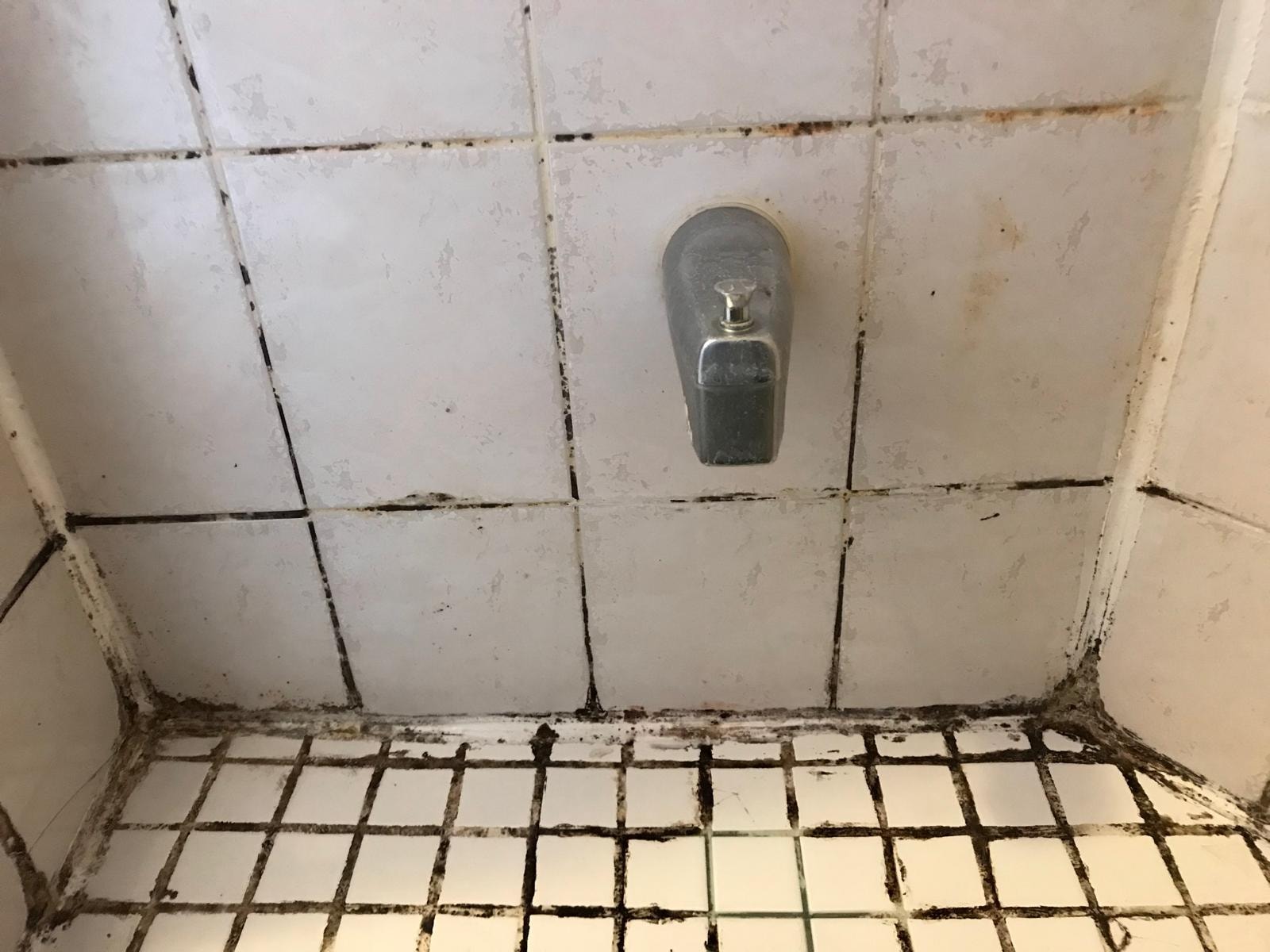 Lower wall and floor joint before restoration — heavy black mold — TilesRus
